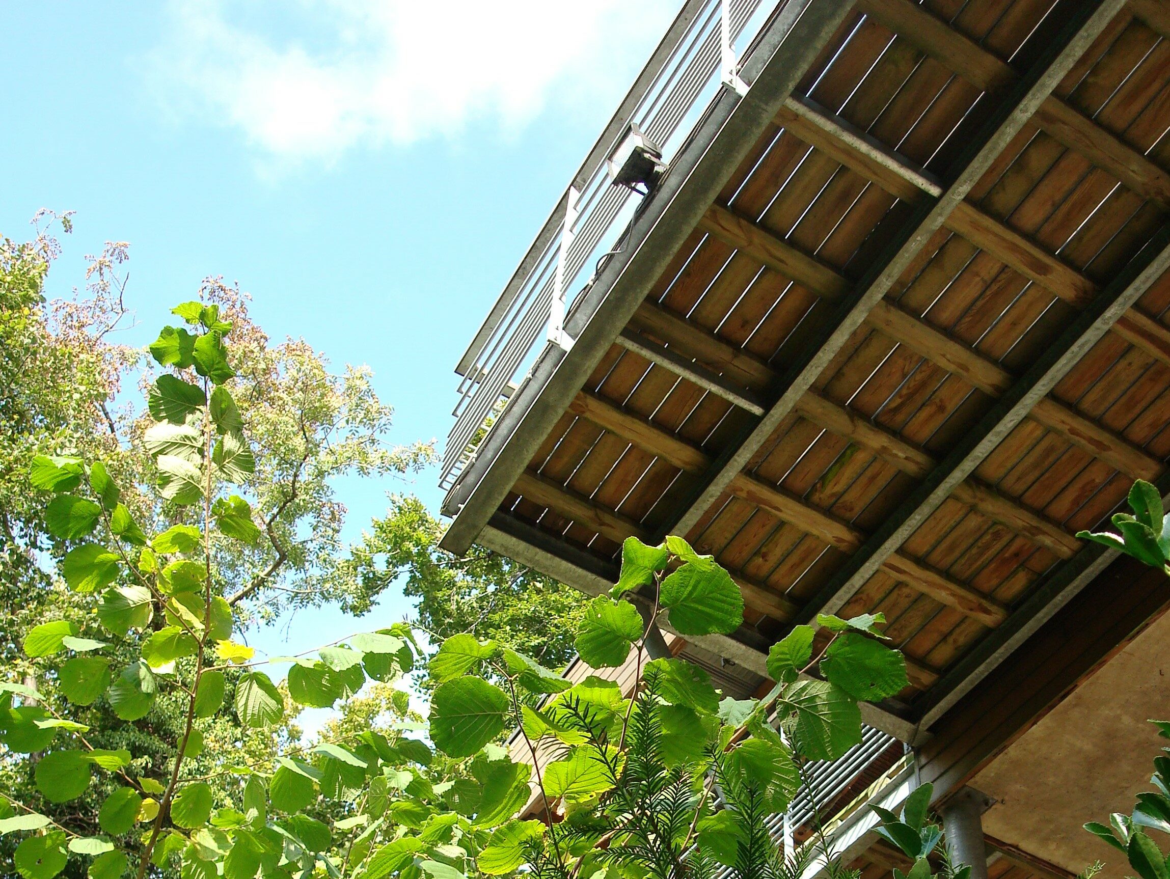 construction maison individuelle fleury sur orne - Vue depuis R1